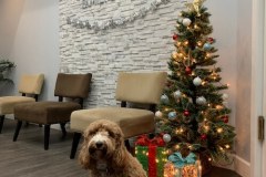 about_our_gilbert_az_denitst_office_11