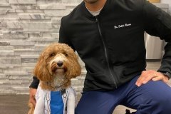 about_our_golbert_az_dentist_7