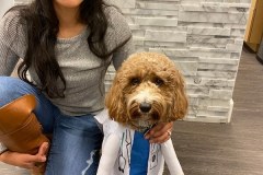 about_our_golbert_az_dentist_8
