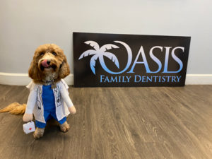 the office dog at Oasis Family Dentistry